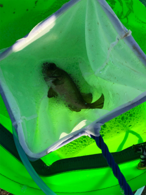 いつもよりも風が強い