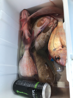 今年秋久々のヒトツテンヤ