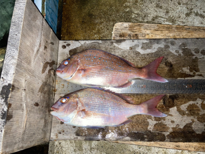 青物御用ならず