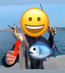 お久しぶりのタチウオ