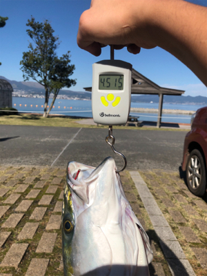 今年の目標達成!!!