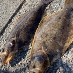 呑ませがおもしろい時期になってきた〜