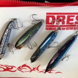 努力は報われるロックショア