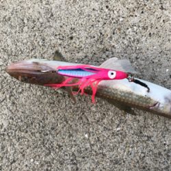 DAISOジグでライトショアジギング