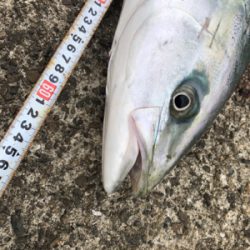 渋い中の値千金！