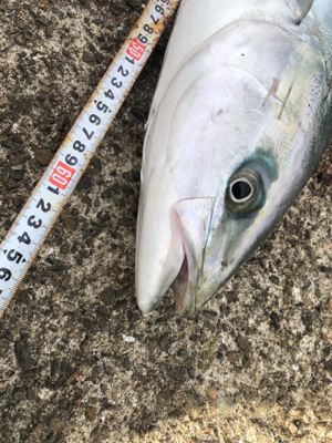 渋い中の値千金！