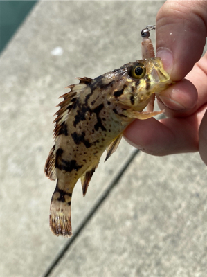 小物ワーム釣り