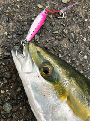 ハマチ！2020ライトゲーム第32戦