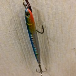 イカにもダイソージグは効く