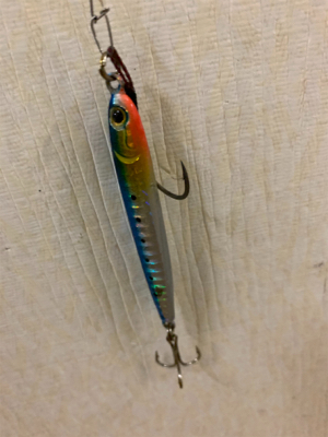 イカにもダイソージグは効く