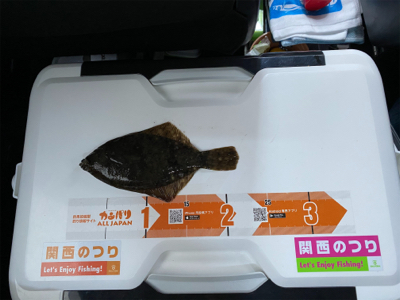 カレイ釣り