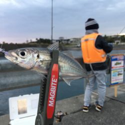 ファミリーアジング