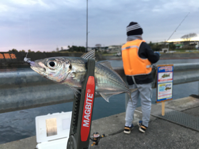 ファミリーアジング