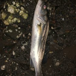 雨の中トップで!