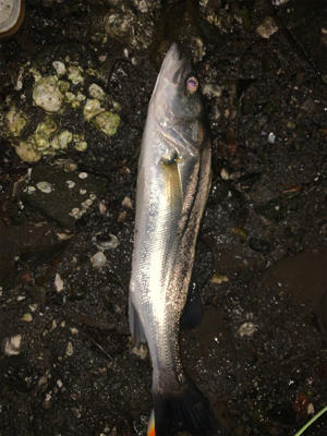 雨の中トップで!