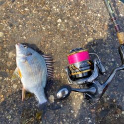 バクダン投下‼️