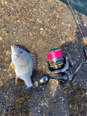 バクダン投下‼️