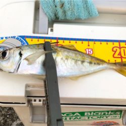 今日も風当たりが強かった⁉︎