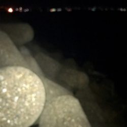 何とか1杯σ(^_^;)