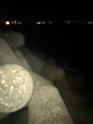 何とか1杯σ(^_^;)