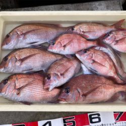 平磯 秋の鯛祭り♪ 2020