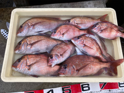 平磯 秋の鯛祭り♪ 2020