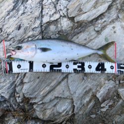 渋い結果に・・・・