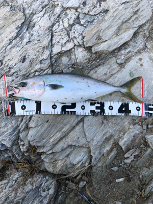 渋い結果に・・・・