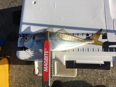 まだイケるぞ！