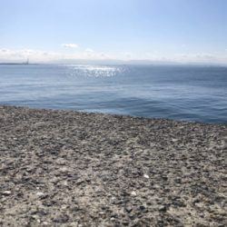 はじめてノマセでの釣果はメジロ‼️