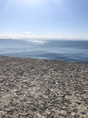 はじめてノマセでの釣果はメジロ‼️