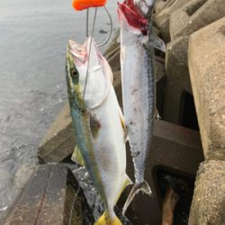 曇り空がいい感じ