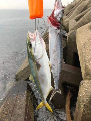 曇り空がいい感じ