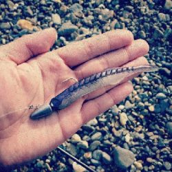 人生初ヒラメフィッシュ！！！！