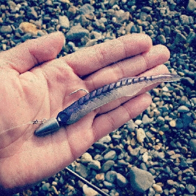 人生初ヒラメフィッシュ！！！！