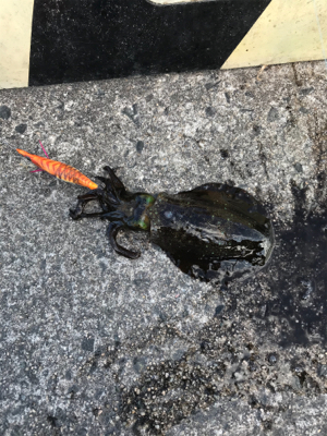 渋くなりました！