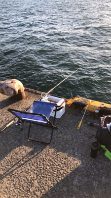 エビ撒き釣りでハネとアジ