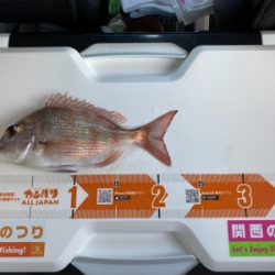 3週連続、深日港へカレイ釣り