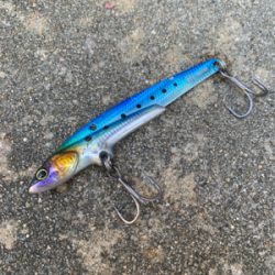 早朝のショアジギング