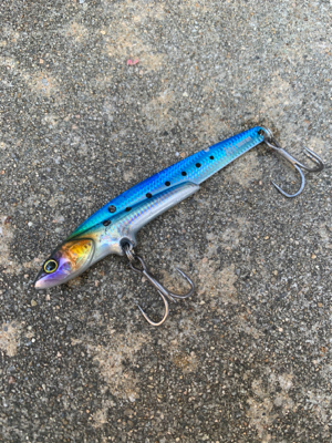 早朝のショアジギング