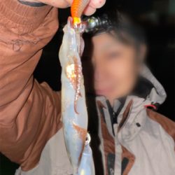 ヒイカ　エギング　100杯超え