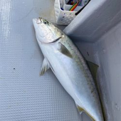 オフショアジギング