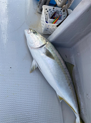 オフショアジギング