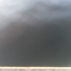 サバ、アジ、そして‥