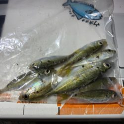 久しぶりの日本海