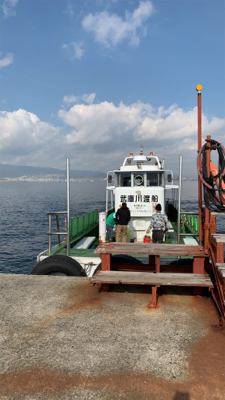 青物　好調のはずが？