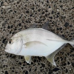 バラシまくり、、。