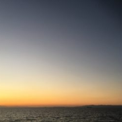 拾っていく釣り