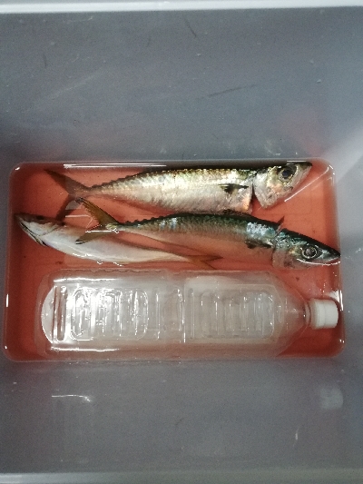 美味しいお土産