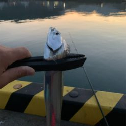 ネバーギブアップ